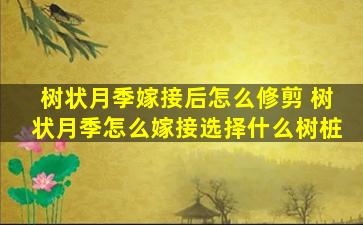 树状月季嫁接后怎么修剪 树状月季怎么嫁接选择什么树桩